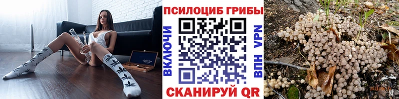 Псилоцибиновые грибы мицелий купить наркоту Бийск